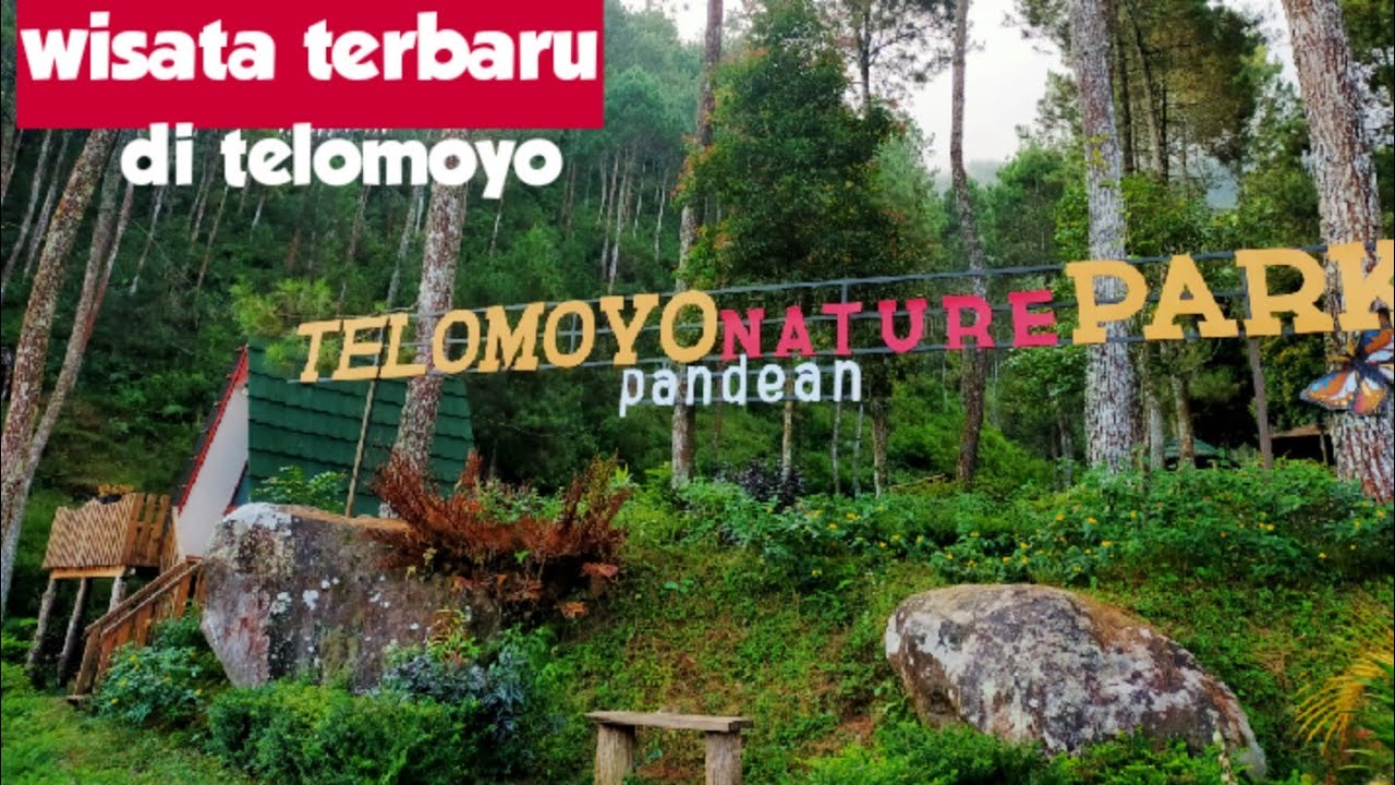 Telomoyo Nature Park: Keindahan Alam dan Aktivitas Menarik di Jawa Tengah